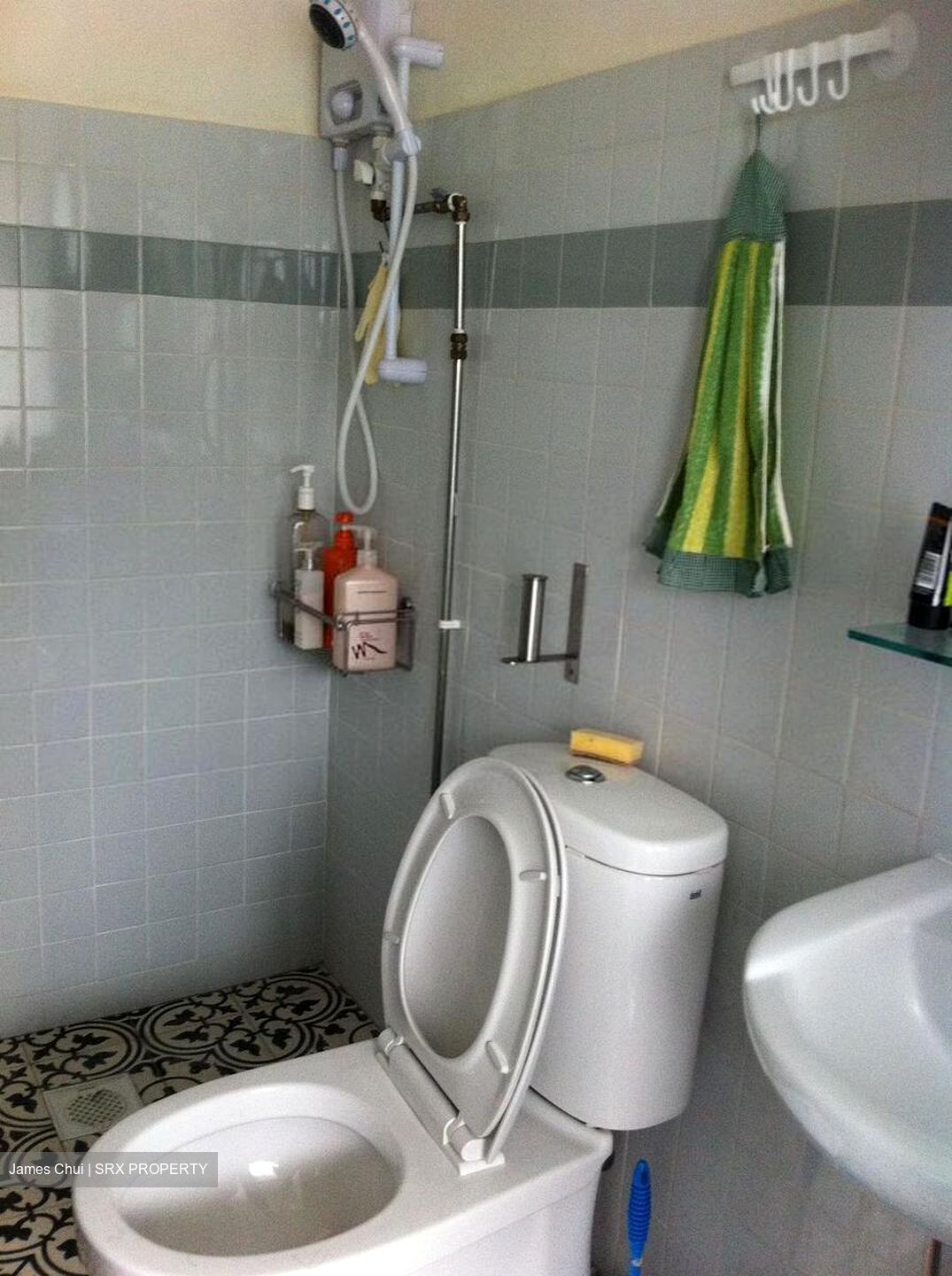 Tiong Bahru Estate (D3), Apartment #395917461
